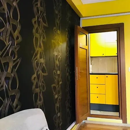 Mutfakli 1+0 Stuedyo Daire * Istambul